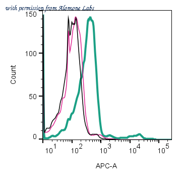 Alomone Labs APR-024-APC image 3