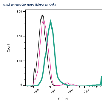 Alomone Labs APR-035-F image 2