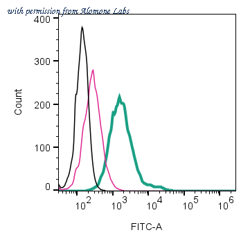 Alomone Labs ASR-006-F image 1