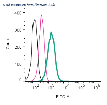 Alomone Labs ASR-006-F image 2