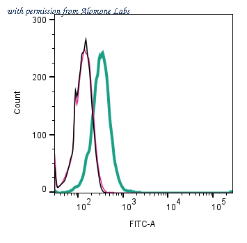 Alomone Labs AZT-010-F image 1