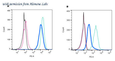 Alomone Labs RIC-001 image 2