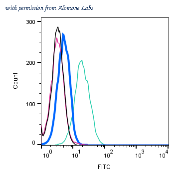 Alomone Labs RIC-001 image 3