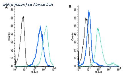 Alomone Labs RIC-001-APC image 1