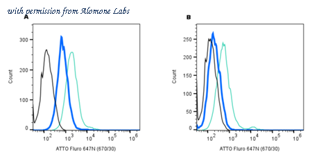 Alomone Labs RIC-001-FRN image 2