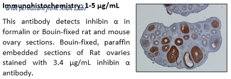 Ansh Labs AB-304-AI007 image 1