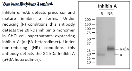 Ansh Labs AB-304-AI007 image 2