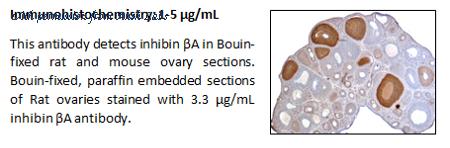 Ansh Labs AB-305-AI006 image 1