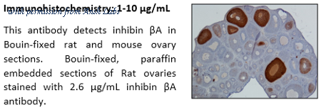 Ansh Labs AB-305-AI063 image 1