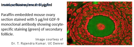 Ansh Labs AB-325-AG013 image 1