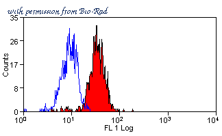 Bio-Rad MCA4662GA image 1