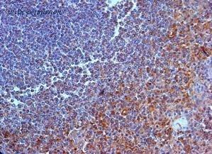 Bio-Rad AHP1821 image 1