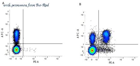 Bio-Rad MCA4635T image 1