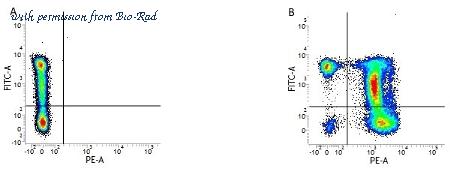 Bio-Rad MCA2814PE image 1