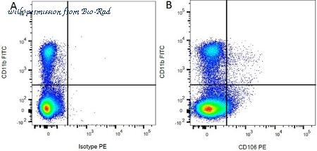 Bio-Rad MCA619R image 1