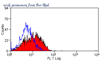 Bio-Rad MCA2784 image 1