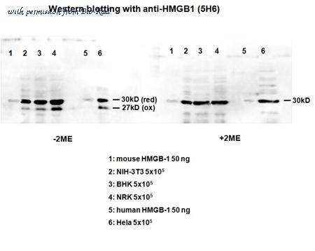 Bio-Rad MCA5765GA image 1