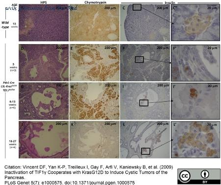 Bio-Rad 2100-0657 image 1