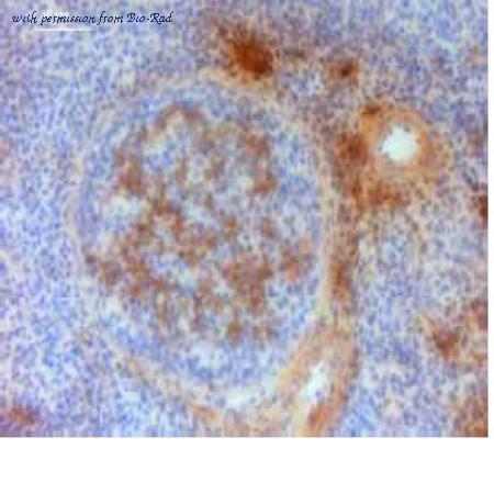 Bio-Rad MCA5680 image 1