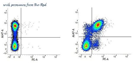 Bio-Rad MCA1212F image 1