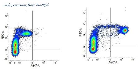 Bio-Rad MCA929 image 1