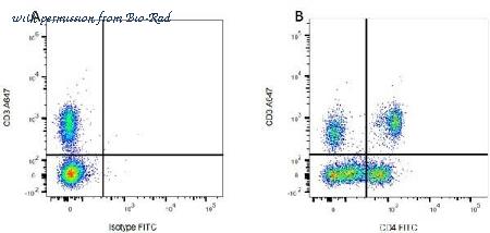 Bio-Rad MCA1209A700 image 1