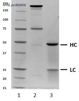 Bio-Rad HCA050 image 1