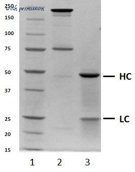 Bio-Rad HCA050A image 1