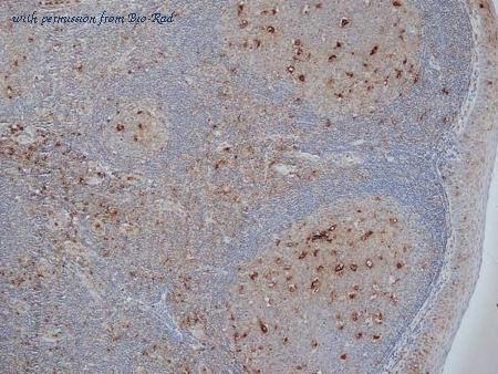 Bio-Rad MCA5709F image 1