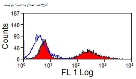 Bio-Rad MCA1085PE image 1