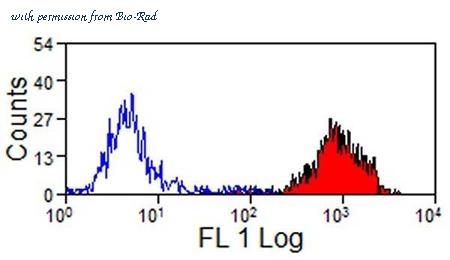 Bio-Rad MCA1086F image 1