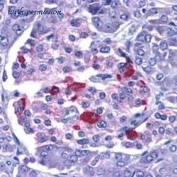 Bio-Rad AHP730 image 1