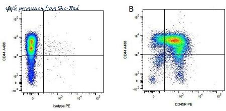 Bio-Rad MCA1043PE image 1