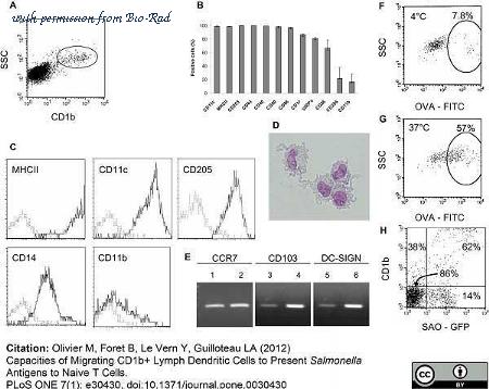 Bio-Rad MCA1651F image 1
