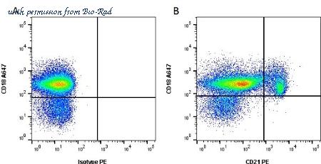 Bio-Rad MCA1781PE image 1
