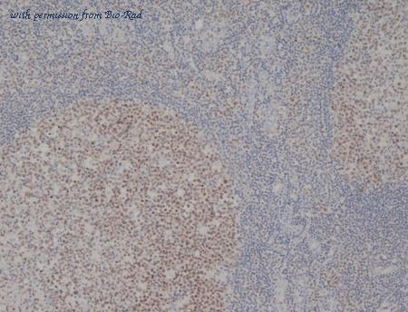 Bio-Rad MCA1859 image 1