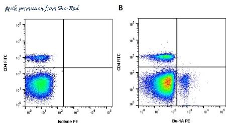 Bio-Rad MCA2170F image 1
