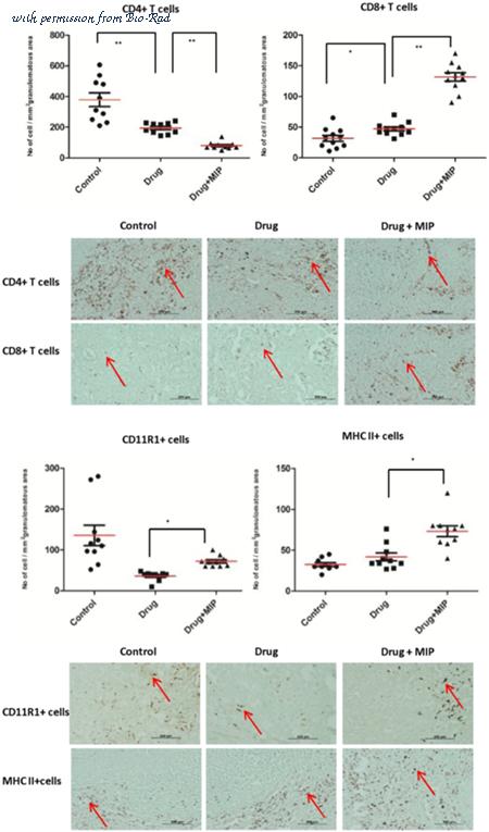 Bio-Rad MCA752F image 1