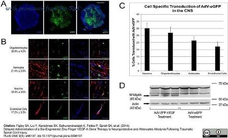Bio-Rad MCA970R image 1