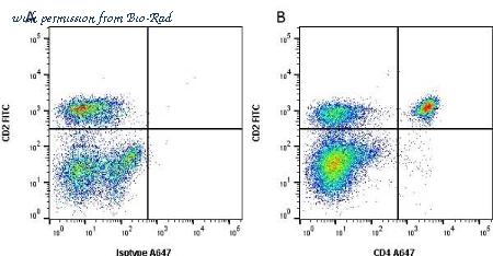 Bio-Rad MCA1653GA image 1