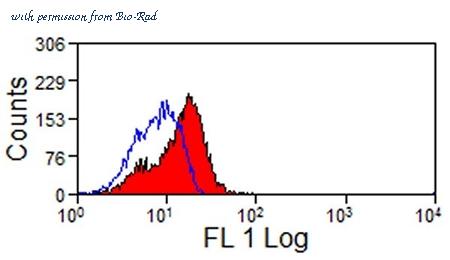 Bio-Rad MCA1119GA image 1