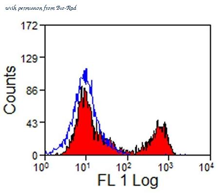 Bio-Rad MCA1080GA image 1