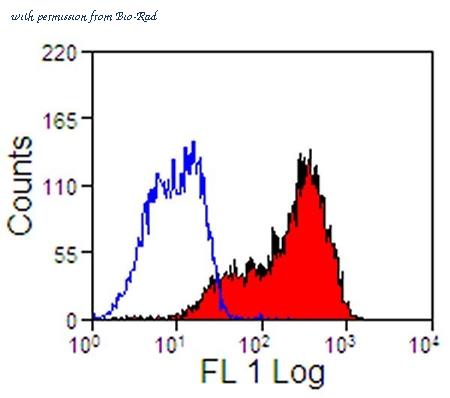 Bio-Rad MCA1079PE image 1