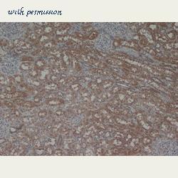 Bio-Rad AHP420 image 1
