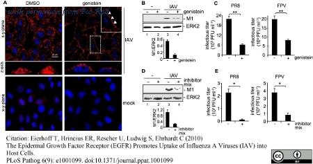 Bio-Rad MCA401 image 1