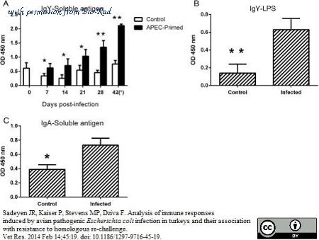 Bio-Rad AAI28P image 1