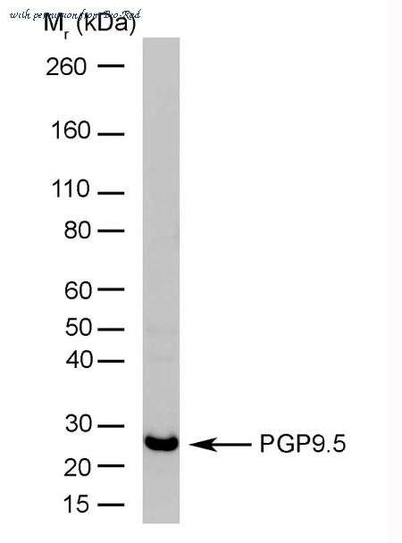 Bio-Rad 7863-2004 image 1