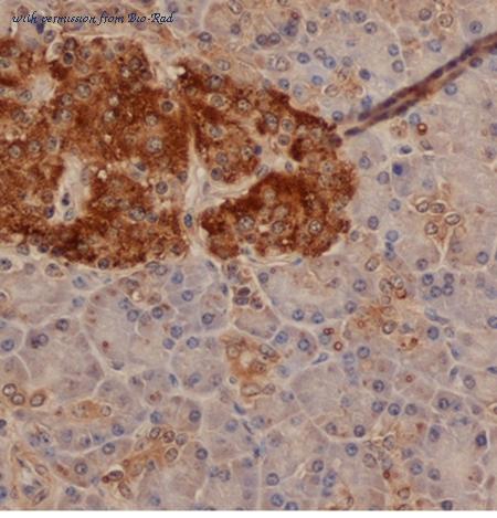 Bio-Rad 2095-0220 image 1