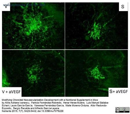 Bio-Rad 643002 image 1
