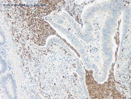 Bio-Rad AHP1034 image 1